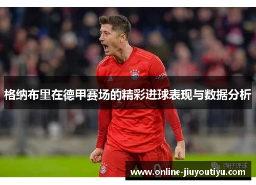 格纳布里在德甲赛场的精彩进球表现与数据分析 格纳布里在德甲赛场的精彩进球表现与数据分析