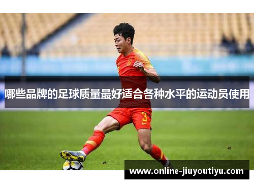 哪些品牌的足球质量最好适合各种水平的运动员使用 哪些品牌的足球质量最好适合各种水平的运动员使用