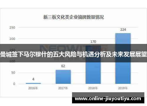 曼城签下马尔穆什的五大风险与机遇分析及未来发展展望