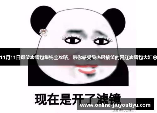 11月11日爆笑表情包集锦全攻略，带你感受最热最搞笑的网红表情包大汇总