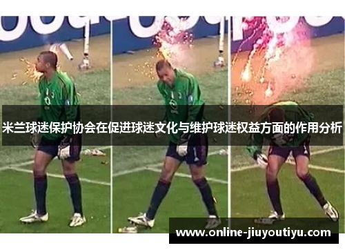 米兰球迷保护协会在促进球迷文化与维护球迷权益方面的作用分析 米兰球迷保护协会在促进球迷文化与维护球迷权益方面的作用分析